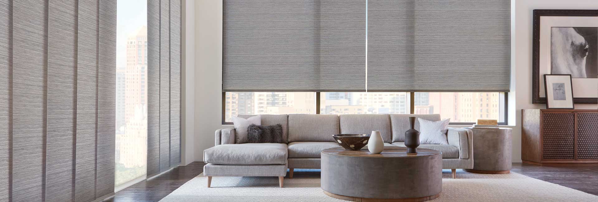 window-horizons-roller-shades-1 window-horizons-roller-shades-1