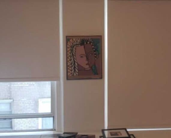 Custom Blackout Window Shades