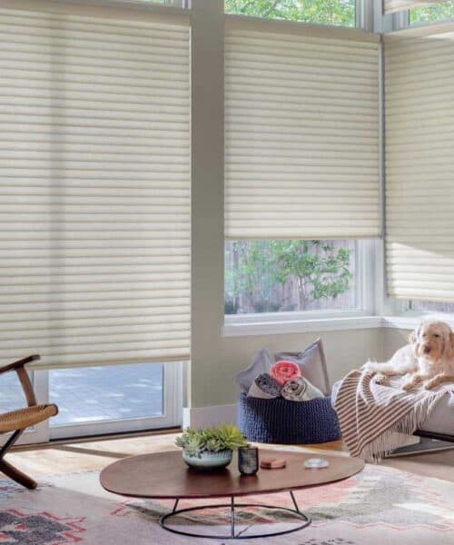 Hunter Douglas Sonnette cellular roller shades NYC